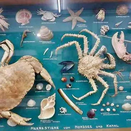Sospeso Fra Cielo E Mare * Cupra Marittima