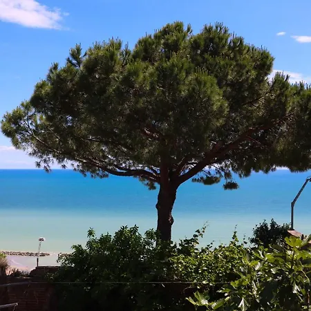 Sospeso Fra Cielo E Mare *